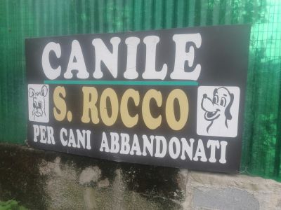 Calcinatello: nuovo divieto per cani e gatti al San Rocco, occhi puntati sul nuovo canile di Cepav Due