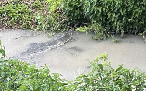 Seriola, cittadini richiedono trasparenza sugli scarichi dopo gli esami dell’Arpa